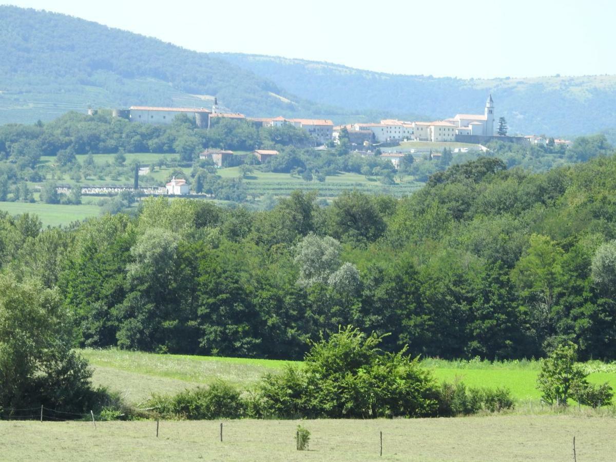 Apartamento Turisticna Kmetija Pri Rebkovih Ajdovščina Exterior foto